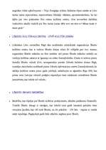 Konspekts 'Lībieši jeb līvi', 4.