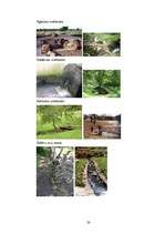 Referāts 'Dziednieciskie avoti un svētavoti Latvijā', 28.