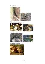 Referāts 'Dziednieciskie avoti un svētavoti Latvijā', 29.