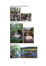 Referāts 'Dziednieciskie avoti un svētavoti Latvijā', 30.