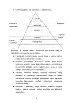 Referāts 'Personāla motivācija', 8.