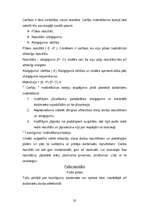 Referāts 'Personāla motivācija', 20.