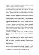 Referāts 'Personāla motivācija', 27.