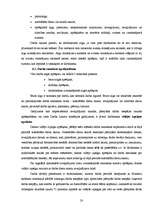 Prakses atskaite 'Kvalifikācijas prakses atskaite grāmatvedībā', 20.