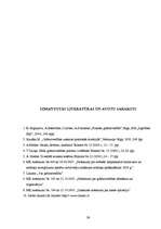 Prakses atskaite 'Kvalifikācijas prakses atskaite grāmatvedībā', 39.