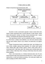 Prakses atskaite 'Grāmatvedības prakses atskaite skolā', 6.