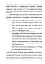 Prakses atskaite 'Grāmatvedības prakses atskaite skolā', 8.