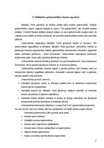 Prakses atskaite 'Grāmatvedības prakses atskaite skolā', 17.