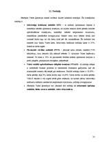 Prakses atskaite 'Grāmatvedības prakses atskaite skolā', 32.