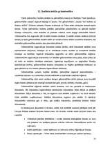 Prakses atskaite 'Grāmatvedības prakses atskaite skolā', 33.