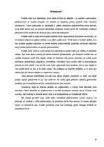 Prakses atskaite 'Grāmatvedības prakses atskaite skolā', 39.