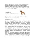 Konspekts 'Mūzika kā putns', 3.