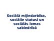 Prezentācija 'Sociālā mijiedarbība, sociālie statusi un sociālās lomas sabiedrībā', 1.