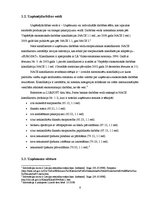 Prakses atskaite 'Prakses atskaite a/s "Parex banka"', 6.