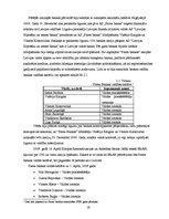 Prakses atskaite 'Prakses atskaite a/s "Parex banka"', 19.