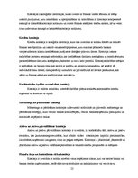 Prakses atskaite 'Prakses atskaite a/s "Parex banka"', 22.