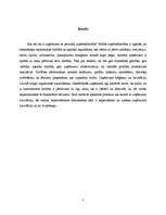 Referāts 'Uzņēmumu likvidācija', 3.