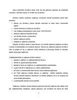 Referāts 'Uzņēmumu likvidācija', 6.