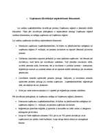 Referāts 'Uzņēmumu likvidācija', 9.