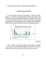 Referāts 'Uzņēmumu likvidācija', 10.