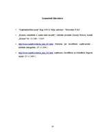 Referāts 'Uzņēmumu likvidācija', 16.