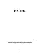 Referāts 'Paraolimpiskā kustība Latvijā', 13.