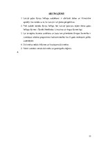 Referāts 'Liellopu gaļas ražošana', 15.