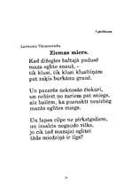 Prakses atskaite 'Aktīvā mācību prakse sākumskolā', 24.