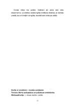 Prakses atskaite 'Aktīvā mācību prakse sākumskolā', 51.