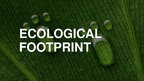 Prezentācija 'Ecological Footprint', 1.