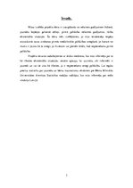 Referāts 'Izsargāšanās no nelaimes gadījumiem ikdienā. Rīcība ekstremālās situācijās', 3.