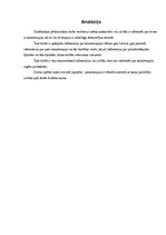 Referāts 'Kanisterapija', 2.