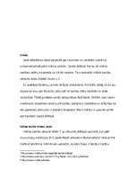 Referāts 'Tiesību izpratne Saūda Arābijā', 4.