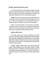 Referāts 'Konflikti cilvēku grupās un organizācijās', 4.