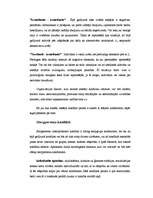 Referāts 'Konflikti cilvēku grupās un organizācijās', 5.