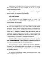 Referāts 'Konflikti cilvēku grupās un organizācijās', 12.