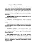 Referāts 'Konflikti cilvēku grupās un organizācijās', 13.