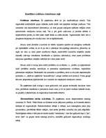 Referāts 'Konflikti cilvēku grupās un organizācijās', 16.