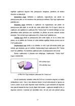 Diplomdarbs 'Degvielas uzpildes stacijas SIA “Gotika Auto” pakalpojumu asortimenta optimizāci', 17.