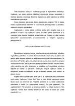 Diplomdarbs 'Degvielas uzpildes stacijas SIA “Gotika Auto” pakalpojumu asortimenta optimizāci', 20.