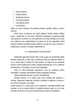 Diplomdarbs 'Degvielas uzpildes stacijas SIA “Gotika Auto” pakalpojumu asortimenta optimizāci', 22.