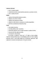 Diplomdarbs 'Degvielas uzpildes stacijas SIA “Gotika Auto” pakalpojumu asortimenta optimizāci', 37.