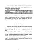 Diplomdarbs 'Degvielas uzpildes stacijas SIA “Gotika Auto” pakalpojumu asortimenta optimizāci', 45.