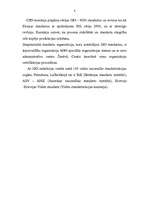 Referāts 'ISO standarti', 6.