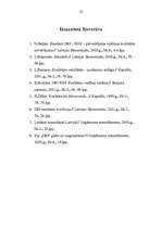 Referāts 'ISO standarti', 21.