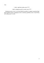 Prakses atskaite 'Prakses atskaite', 9.