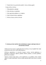 Prakses atskaite 'Prakses atskaite', 17.