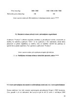 Prakses atskaite 'Prakses atskaite', 38.