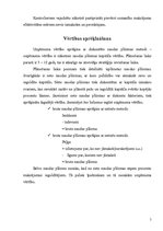 Referāts 'Uzņēmuma vērtība', 5.