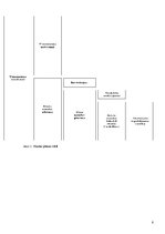 Referāts 'Uzņēmuma vērtība', 6.